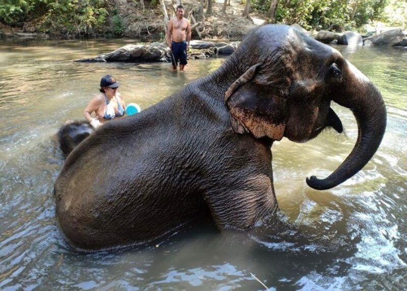 chiang-mai-ethical-elephant-sanctuary-and-atv-adventure