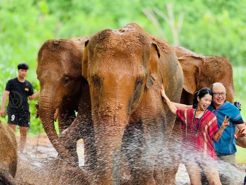 chiang-mai-temple-nature-and-culture-in-one-day