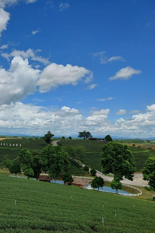 chiang-rai-temple-treasures-popular-sightseeings-buffet