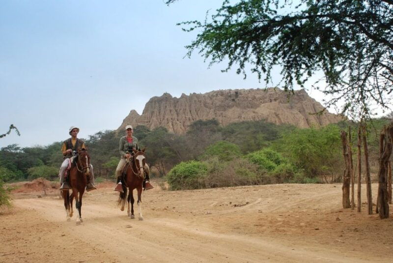 chiclayo-pomac-forest-historic-sanctuary-sican-museum