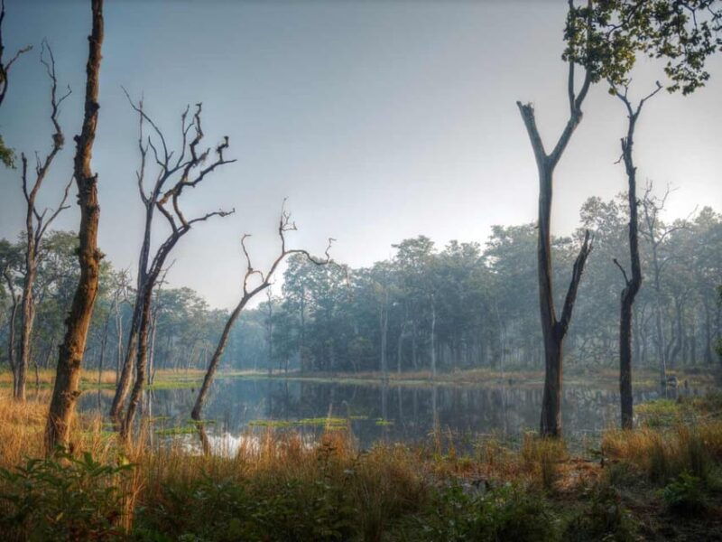chitwan-jungle-safari-3-day-wildlife-expedition