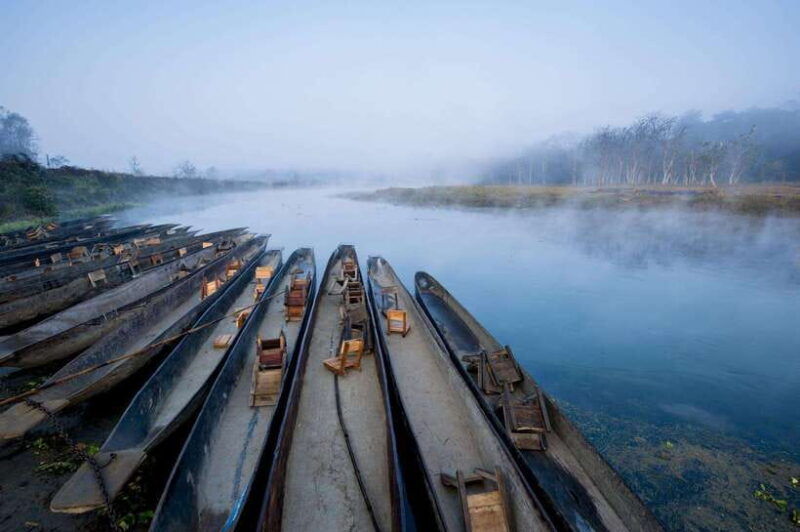 chitwan-jungle-safari-tour-with-canoe-ride-in-forest-river
