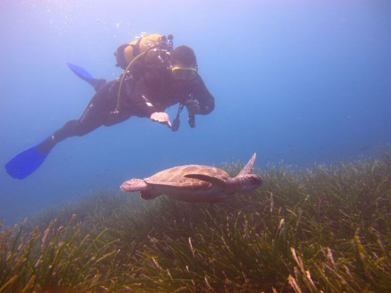 city-of-side-underwater-museum-scuba-diving-visit
