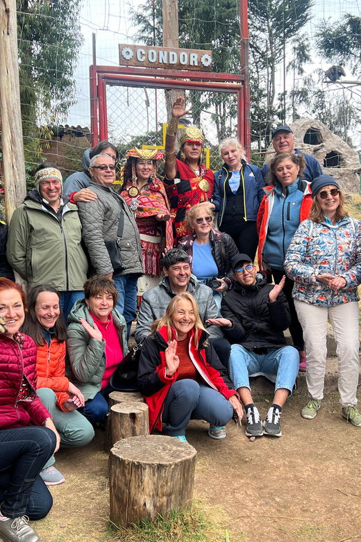 city-tour-cusco-camelids-tour-pachamanca