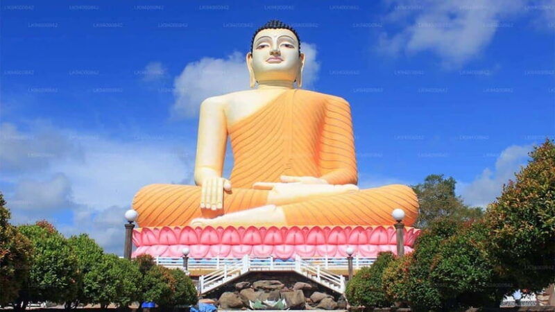 city-tour-discover-aluthgama-with-thrilling-adventures