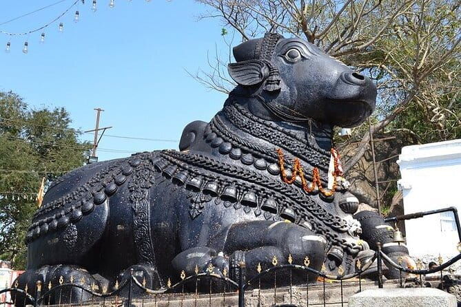 City tour of Beautiful Bengaluru - Half Day - Exploring Bengaluru in Half a Day: A Practical Review of the City Tour