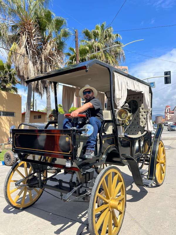 city-tour-on-electric-horse-wagon
