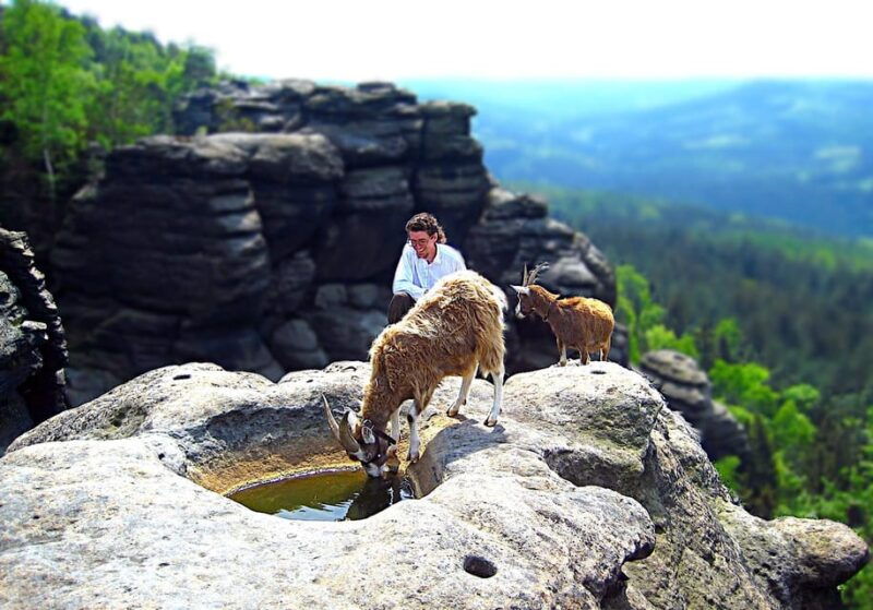 climb-the-mountains-together-with-goats