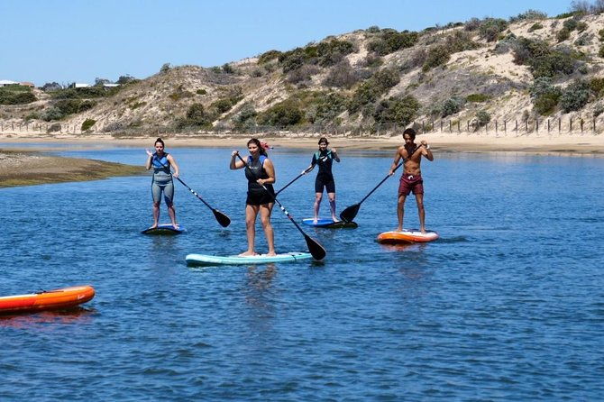 Coast to Vines: E-bike*, Paddle Board and Wine Tour (2 options) - Key Points