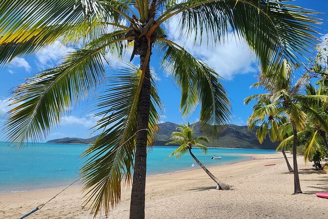 Coastal Beach Escape - Dingo Beach & Cape Gloucester - Introduction