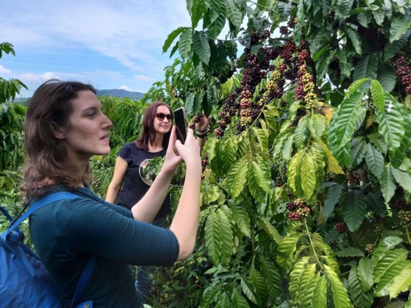 coffee-wine-tea-da-lats-agricultural-treasures-tour