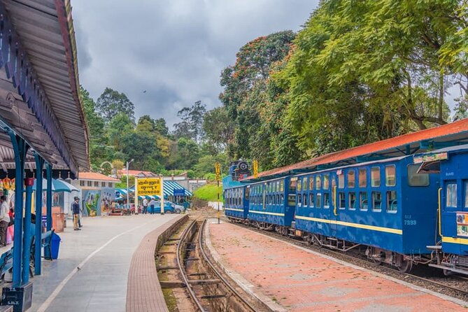Coimbatore to Ooty- transfers+Hotel+Sightseeing - A Closer Look at the Itinerary and Experience