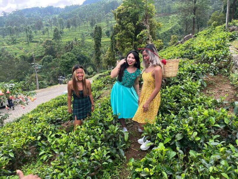 colombo-nuwara-eliya-tea-gardenscolonial-charm-high-tea