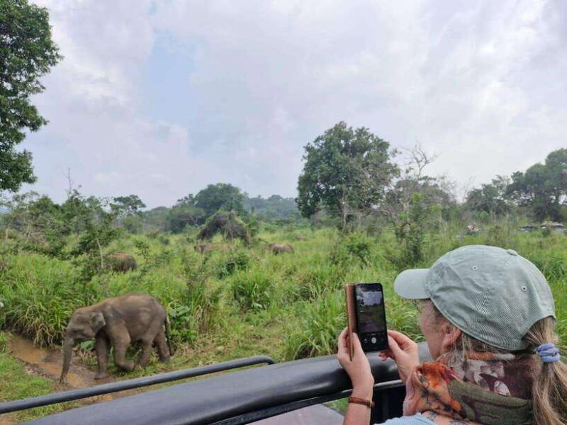 colombo-private-4-day-tour-to-sigiriya-nuwara-eliya-yala