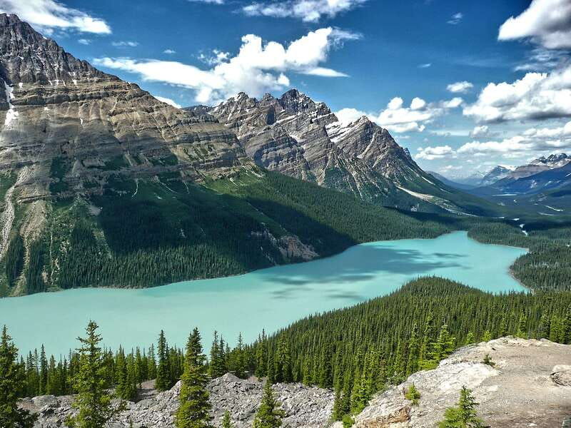 columbia-icefield-peyto-lake-bow-lake-discovery-tour