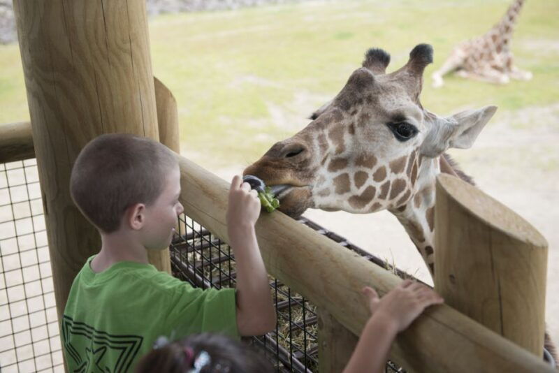 columbus-multiple-attractions-pass