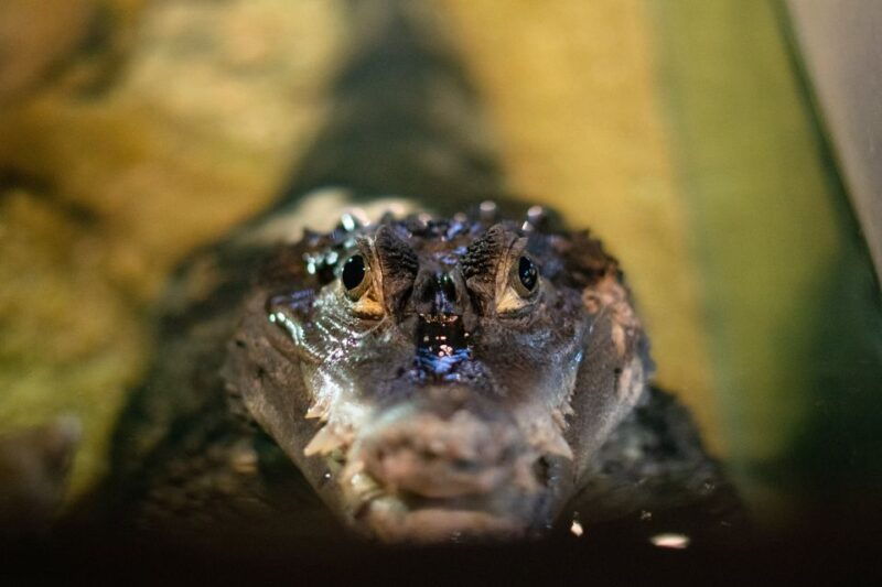 corfu-aquarium-entry-ticket-with-guided-tour