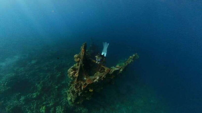coron-barracuda-lake-and-reef-garden-tour-with-lunch