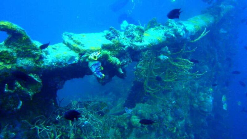 coron-private-tour-d-reef-and-wrecks