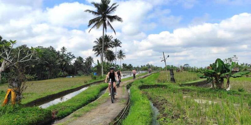 country-side-electric-bike-tour