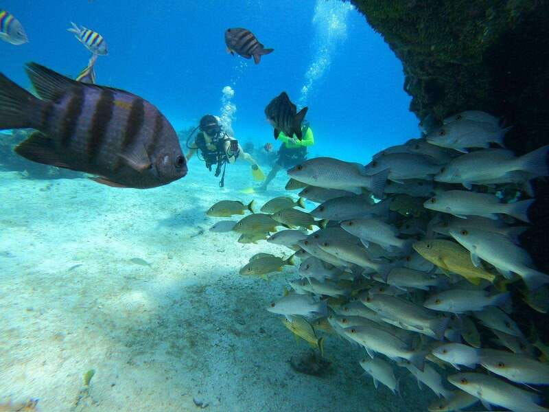 cozumel-discover-scuba-diving-at-chankanaab-marine-park