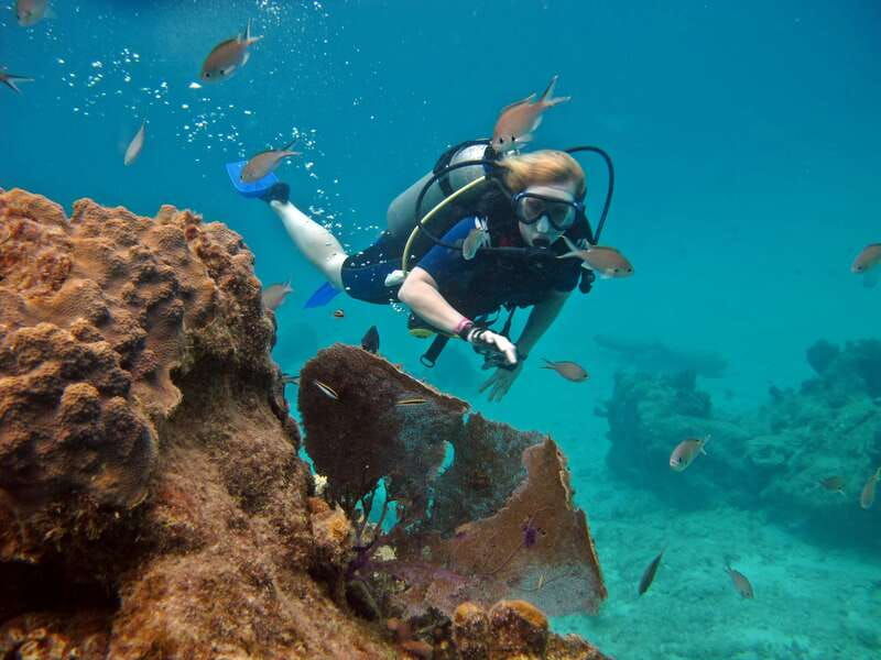cozumel-one-tank-scuba-dive-and-full-chankanaab-park-access
