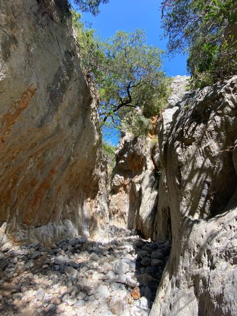 crete-kritsa-canyon-guided-hiking-tour