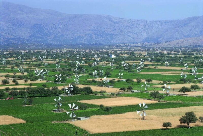 crete-visit-cave-of-zeus-taste-0live-oil-and-cretan-food