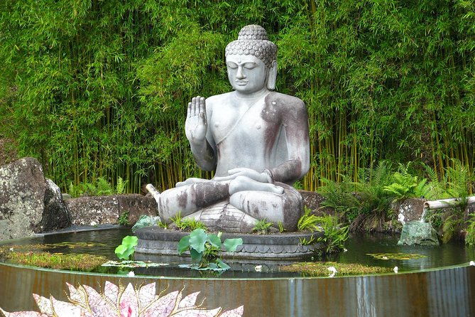 Crystal Castle Shuttle from Byron Bay (half day) - Key Points  
