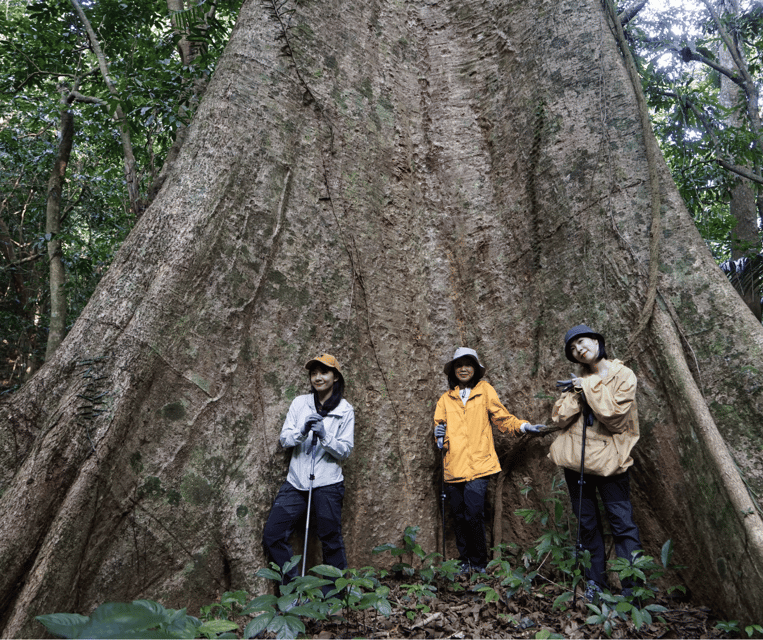 cuc-phuong-national-park-trek-camp-in-jungle-2-days