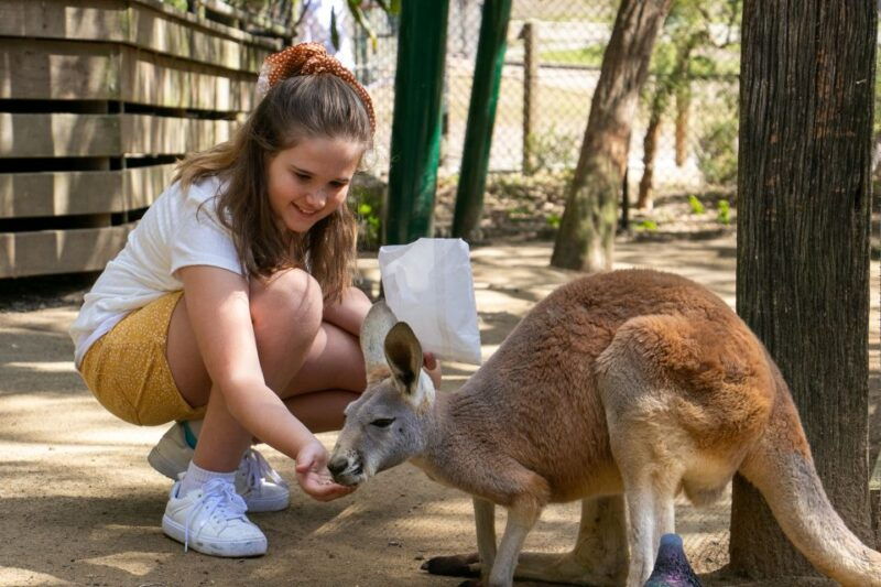 currumbin-wildlife-sanctuary-entry-ticket