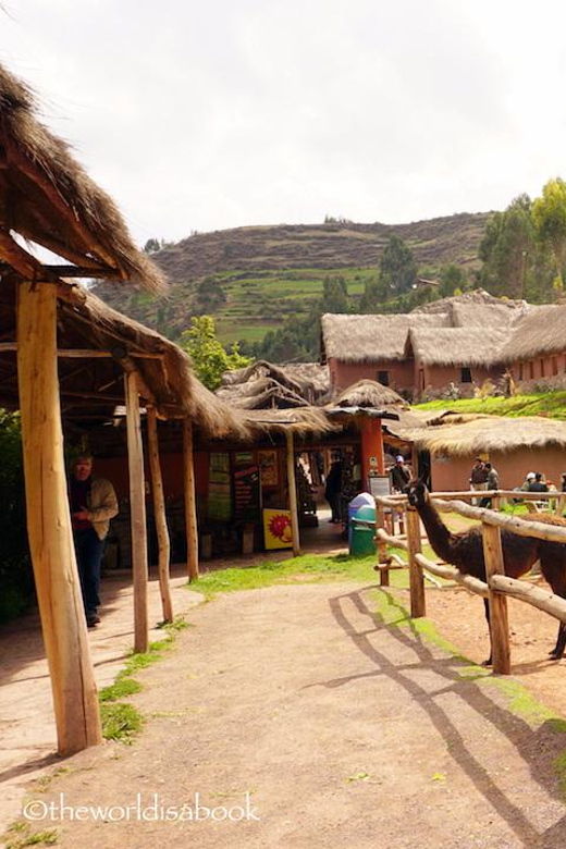 cusco-alpaca-and-llama-farm-tour-and-weaving-demonstration