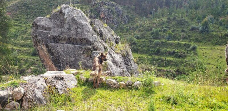 cusco-sacsayhuaman-guided-tour-and-1-hour-horseback-ride