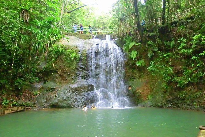 Customized Suva day tour - Exploring the Customized Suva Day Tour: An Honest Review