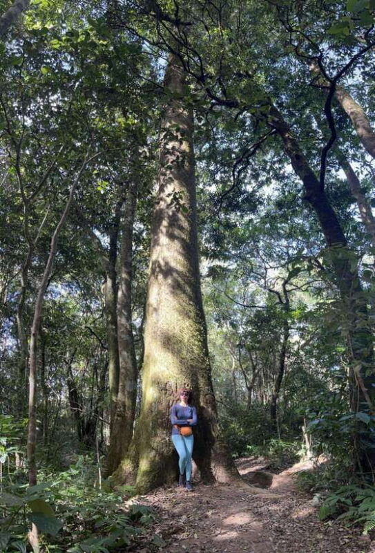 da-lat-langbiang-peak-trekking-tour-with-camping-karaoke