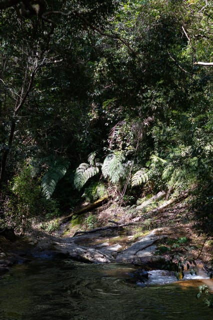 dalat-silent-tour-hiking-swiming-waterfall