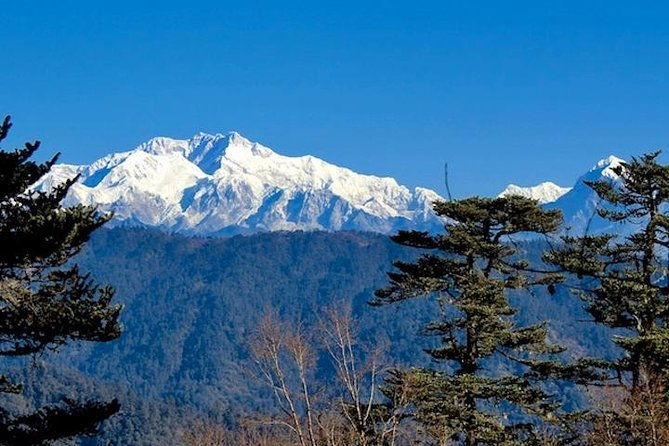 Darjeeling Tonglu Day Trek - Exploring the Darjeeling Tonglu Day Trek: An Authentic Himalayan Experience