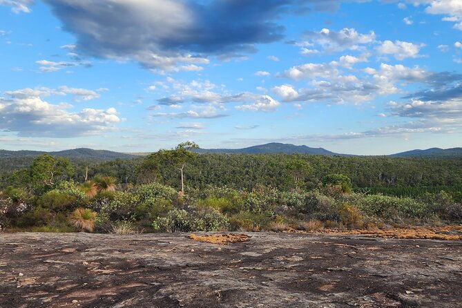Darling Range Scenic Sunset Hike and Graze in Australia - Key Points  