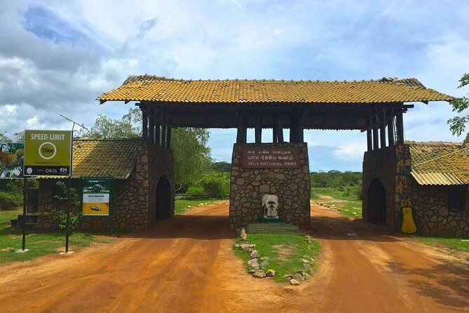 Day Excursion to Yala National Park From Colombo - Introduction