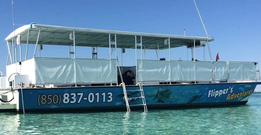 Destin: Crab Island Catamaran Tour With Dolphin Watching