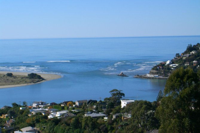 Discover Christchurch Sightseeing Tour with optional International Antarctic Center Admission - Key Points