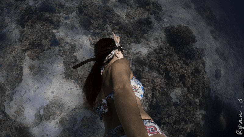 discover-freediving-in-boracay