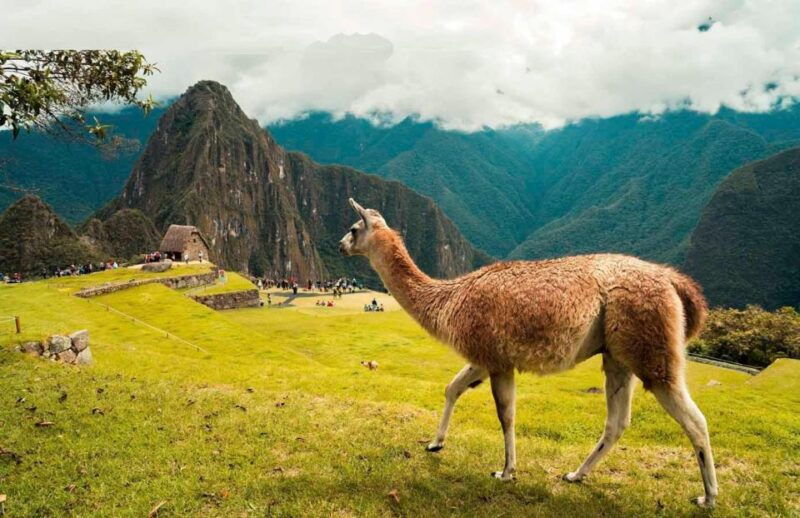 discover-machu-picchu-guided-group-tour-historic-site