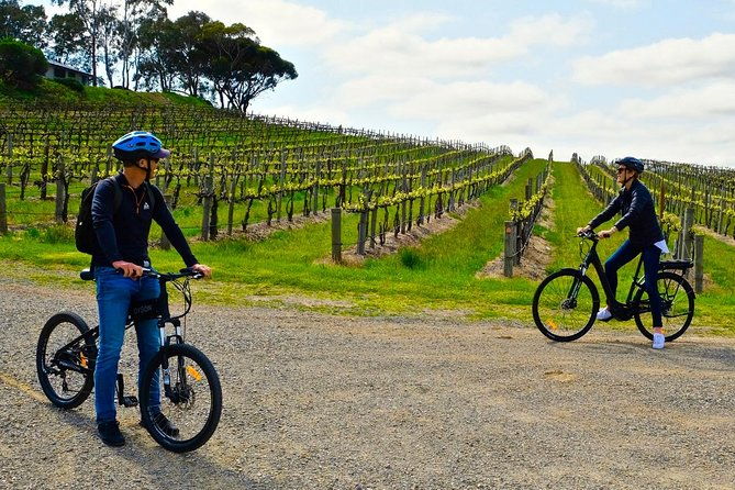 Discover McLaren Vale on eBikes - Full Day - Key Points