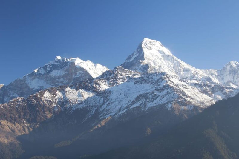 discover-nepal-12-day-trekking-and-wildlife-expedition