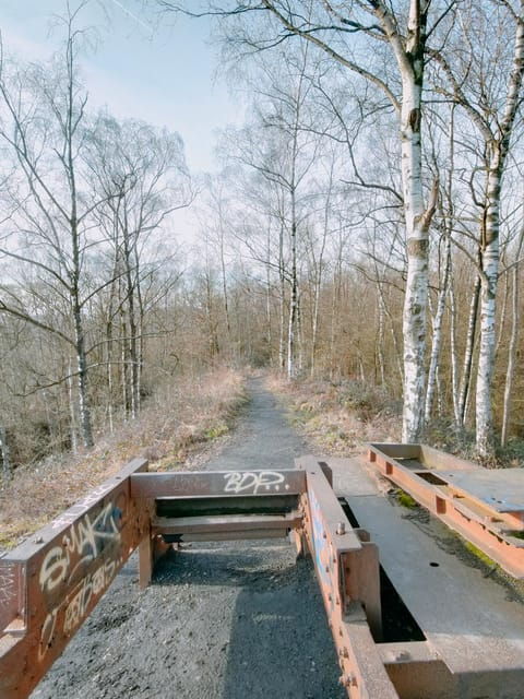 discover-the-liege-nature-on-trail-hiking-running