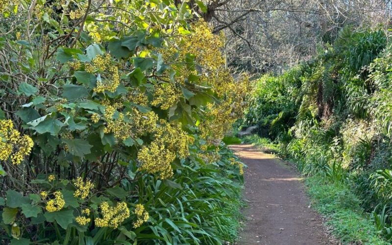 discover-the-paradise-valley-a-quick-escape-for-everyone