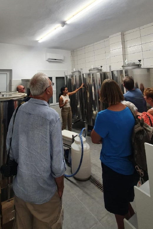 discover-the-world-of-extra-virgin-olive-oil