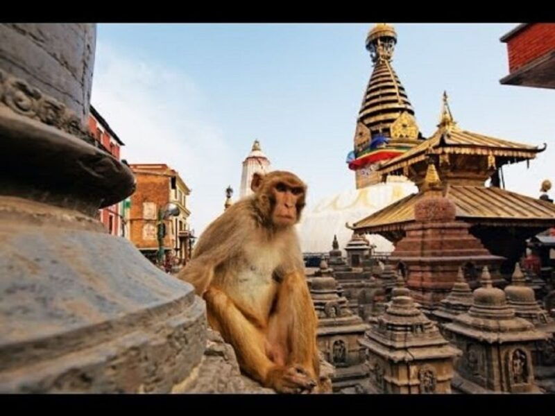 discovering-kathmandu-full-day-city-highlights-bus-tour