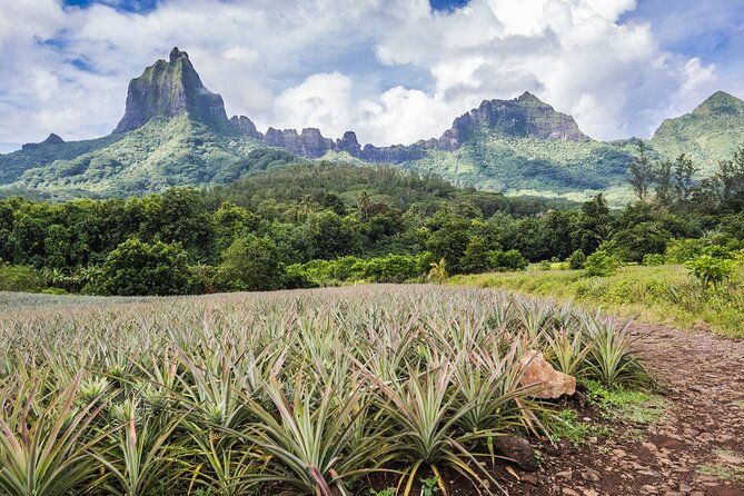Discovery of photography in Moorea, photo tour & class - Key Points